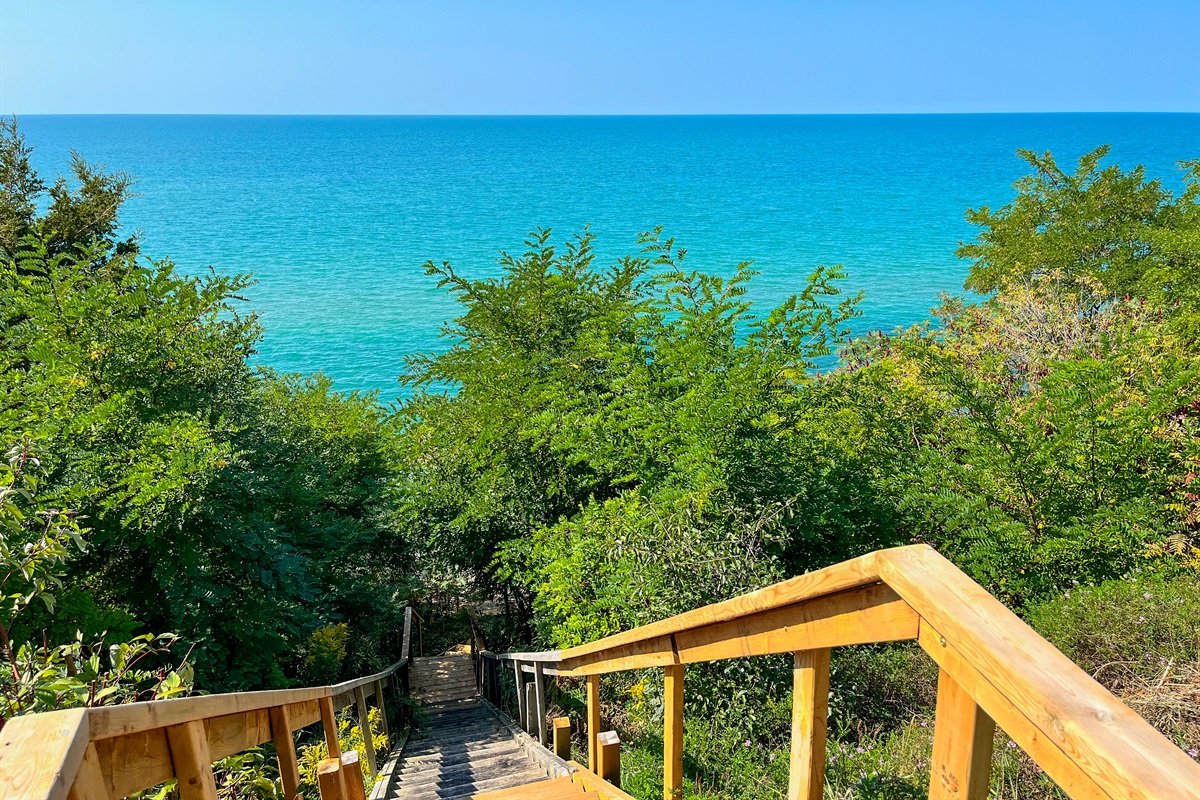 5d1e1c8376214e53b4e019c7704d0832 Large