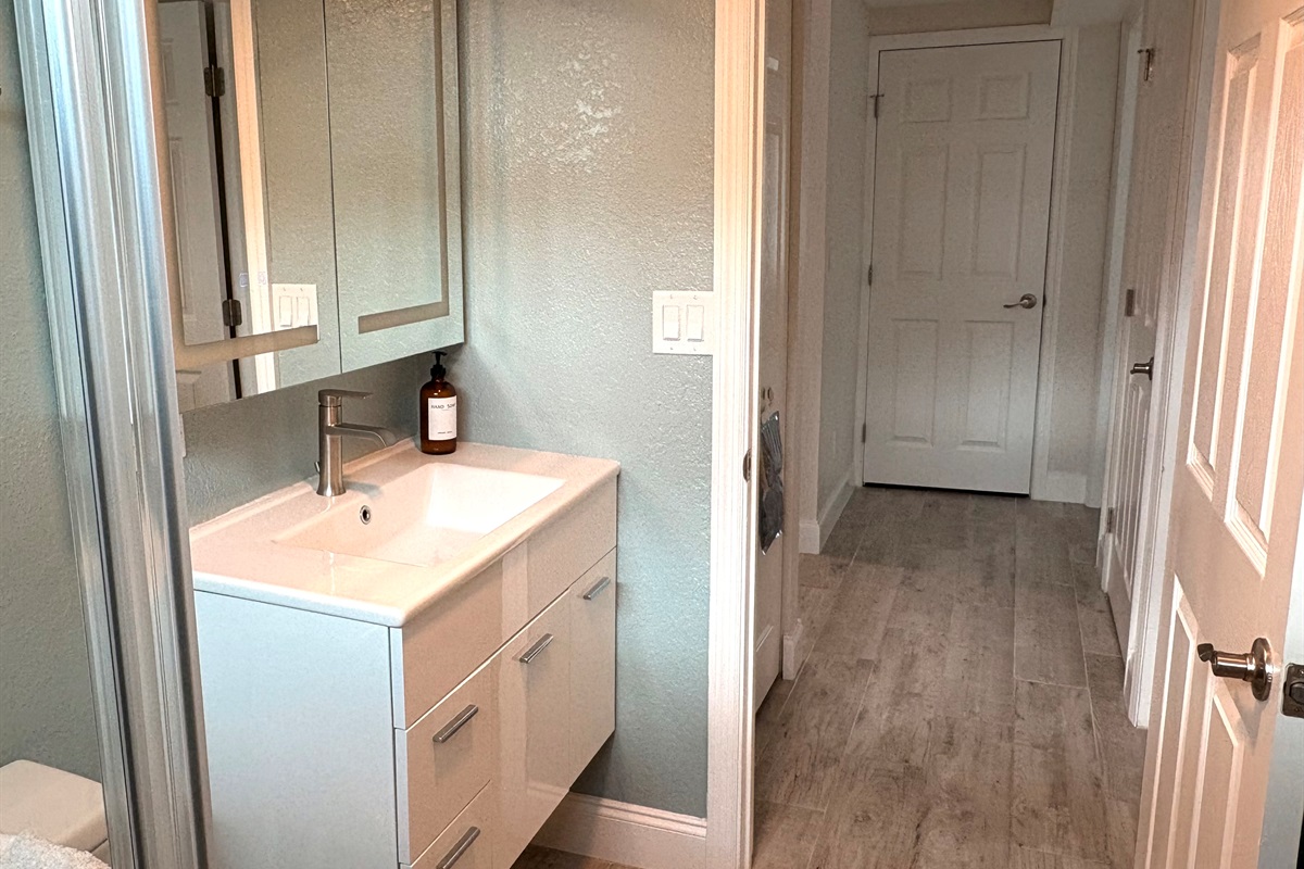 Garden Level Bathroom