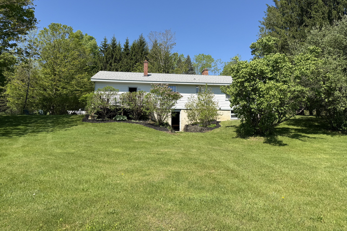 Back yard