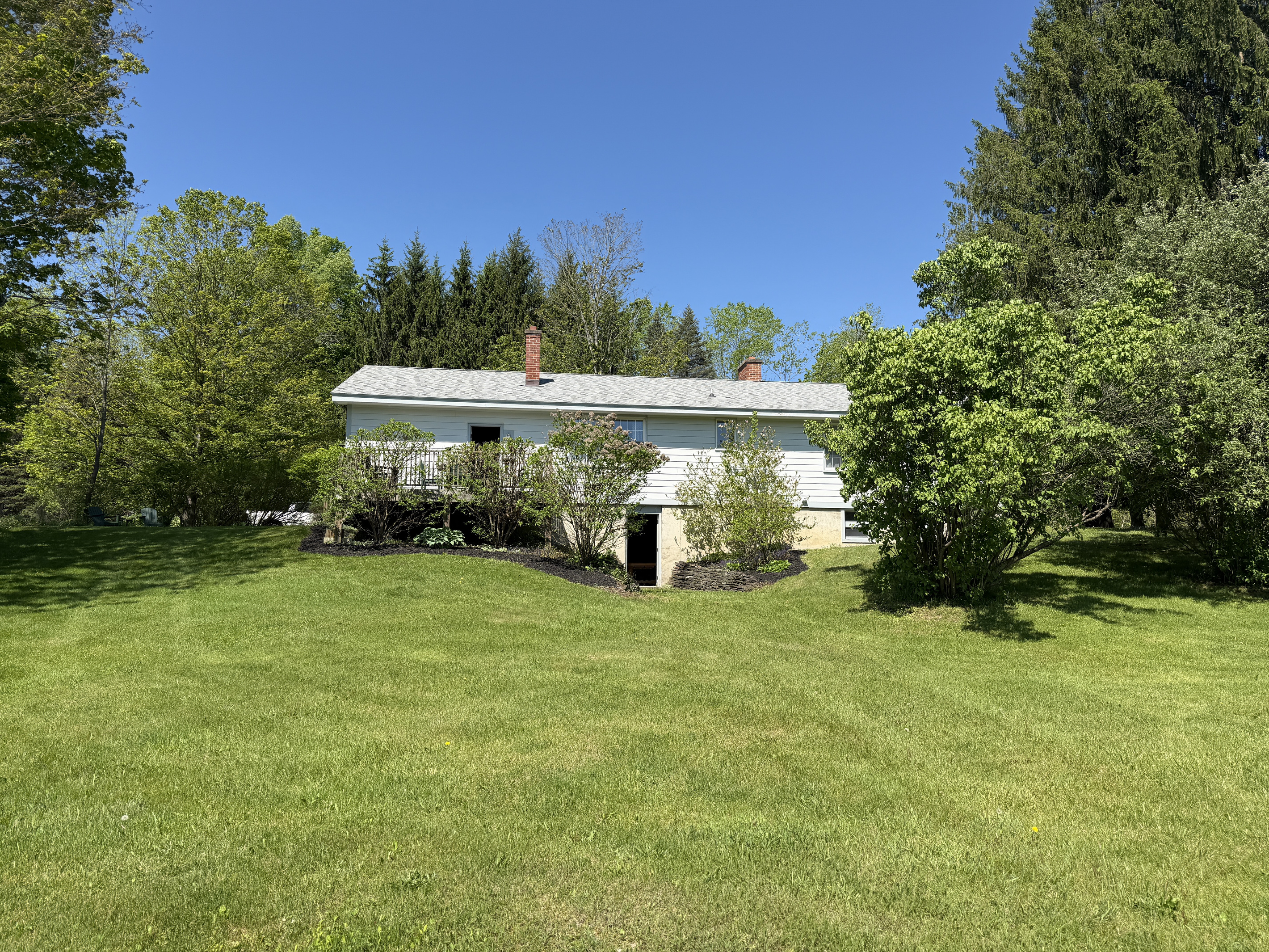 Back yard