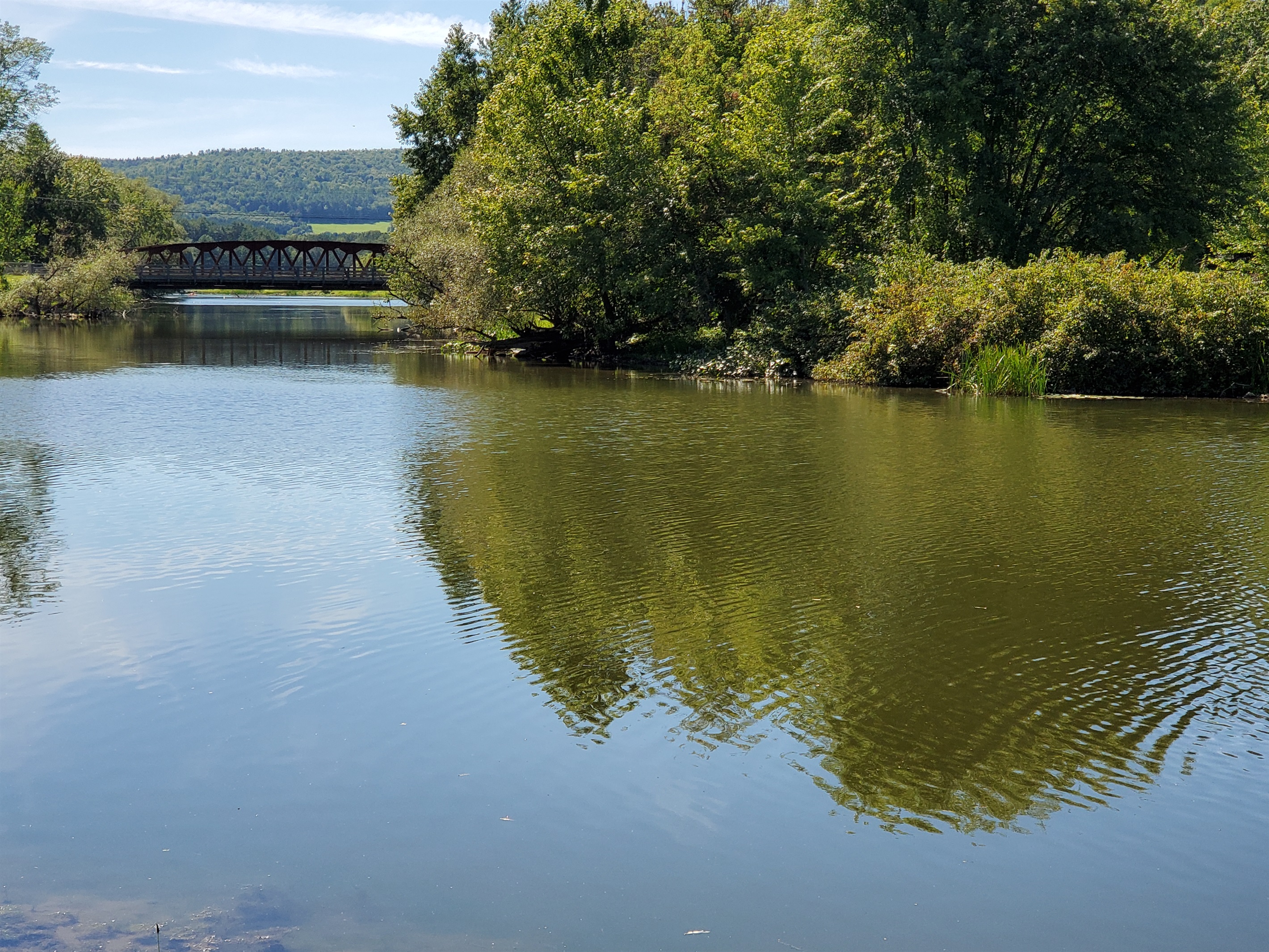 Susquehanna River and Portlandville Bridge