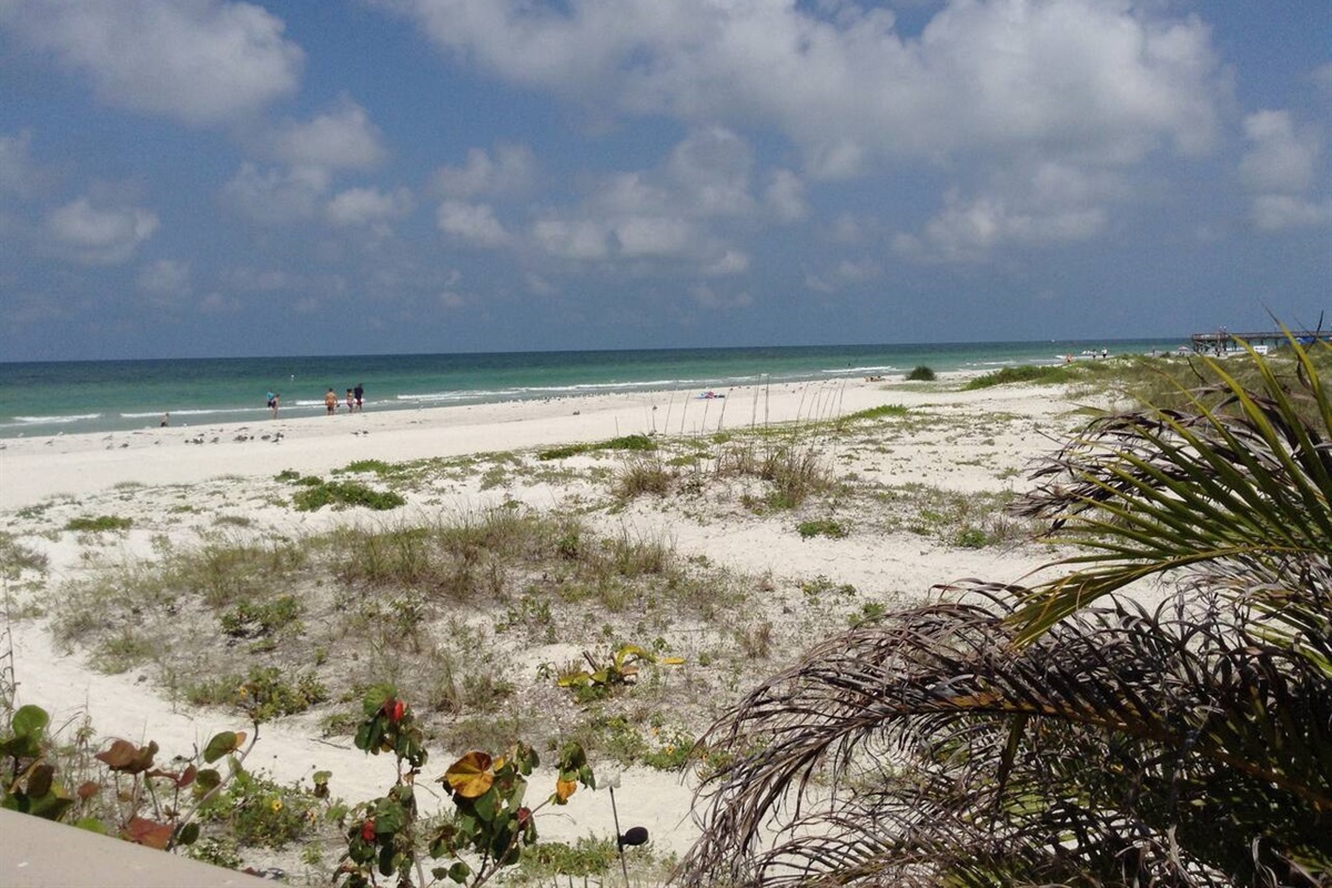 Another view of Indian Shores Beach 