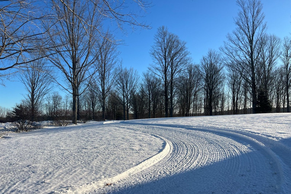 Country Ski and Snowshoe loop