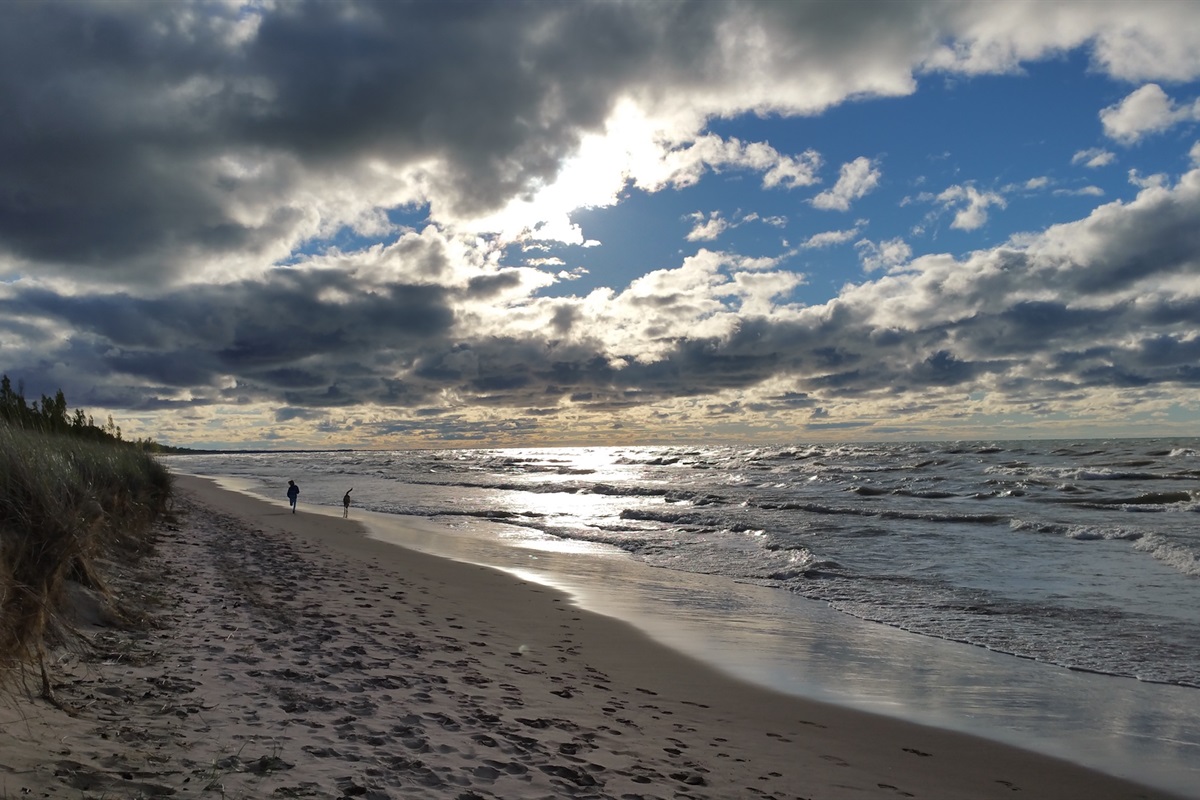 5d4fdec6a80f48e9892e277d23dbb9ee Large