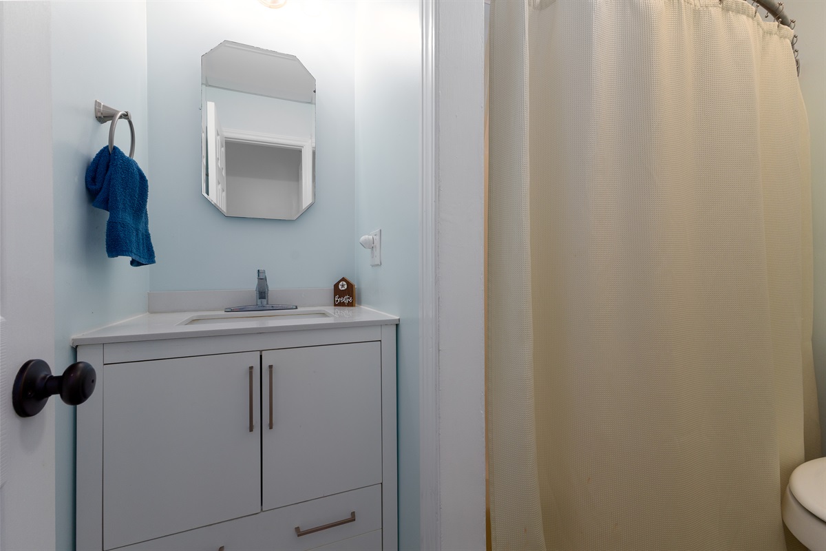 Main floor bathroom view