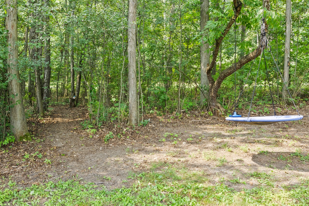 Trail & Swing