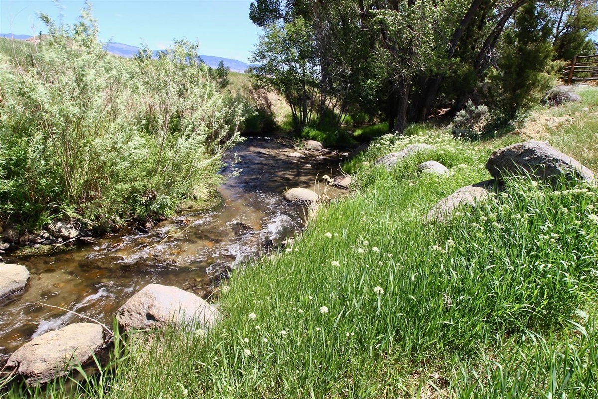 Little Pipestone Creek flows through our 100 acre ranch.