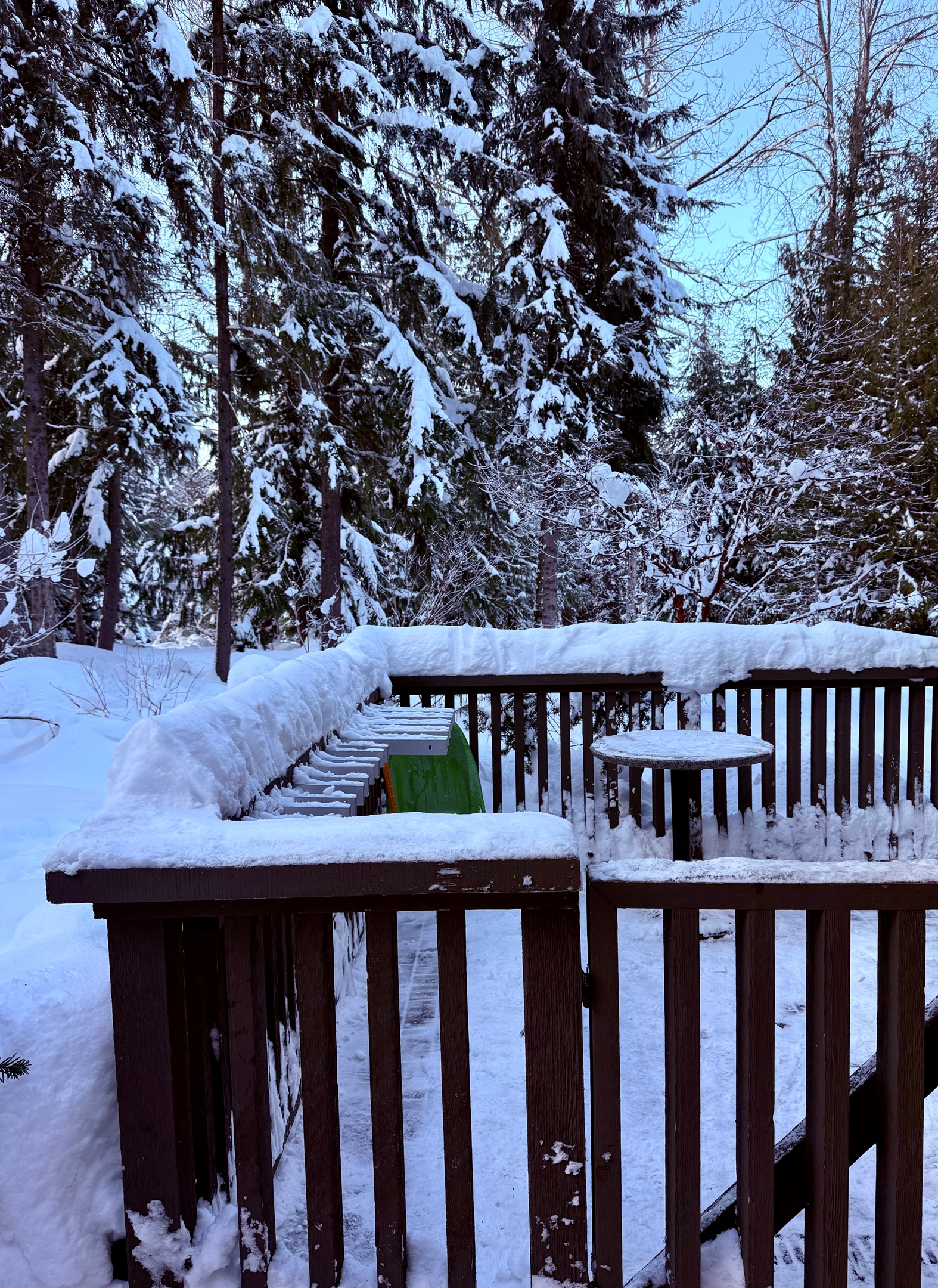 Snow capped mountains and glacier fed river views frame this majestic property perched along the Fitzsimmons Creek.  Natural beauty abounds from every window and vantage point of this Skier's Plaza Ski-In Ski-Out 4BR Townhome