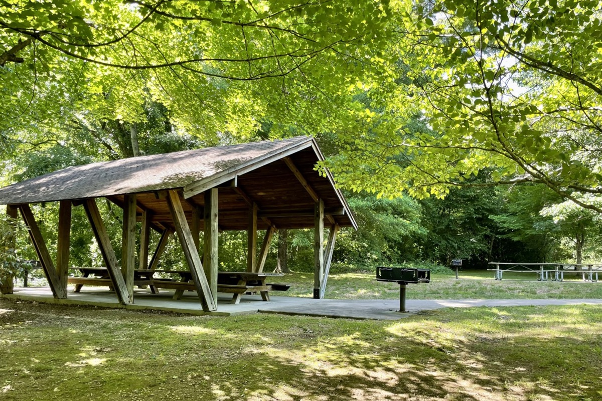 On the other side of the river from the cabin is Murray Branch Recreation area. Known as a take out spot for people rafting, tubing, and kayaking. Also set up for people to come and picnic.
