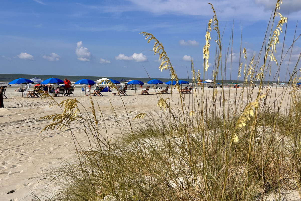 Sea oats. Sunshine. Salty air.  Hilton Head is calling!