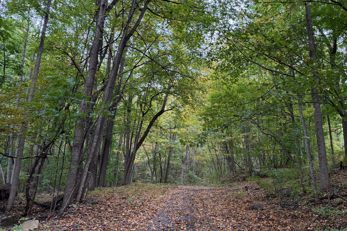 Numerous trails are on the 26 acre property, which you are free to use. We do have many wild animals to enjoy watching, but do take care and be safe. Read through the Guest Welcome Book about safety before you venture off.