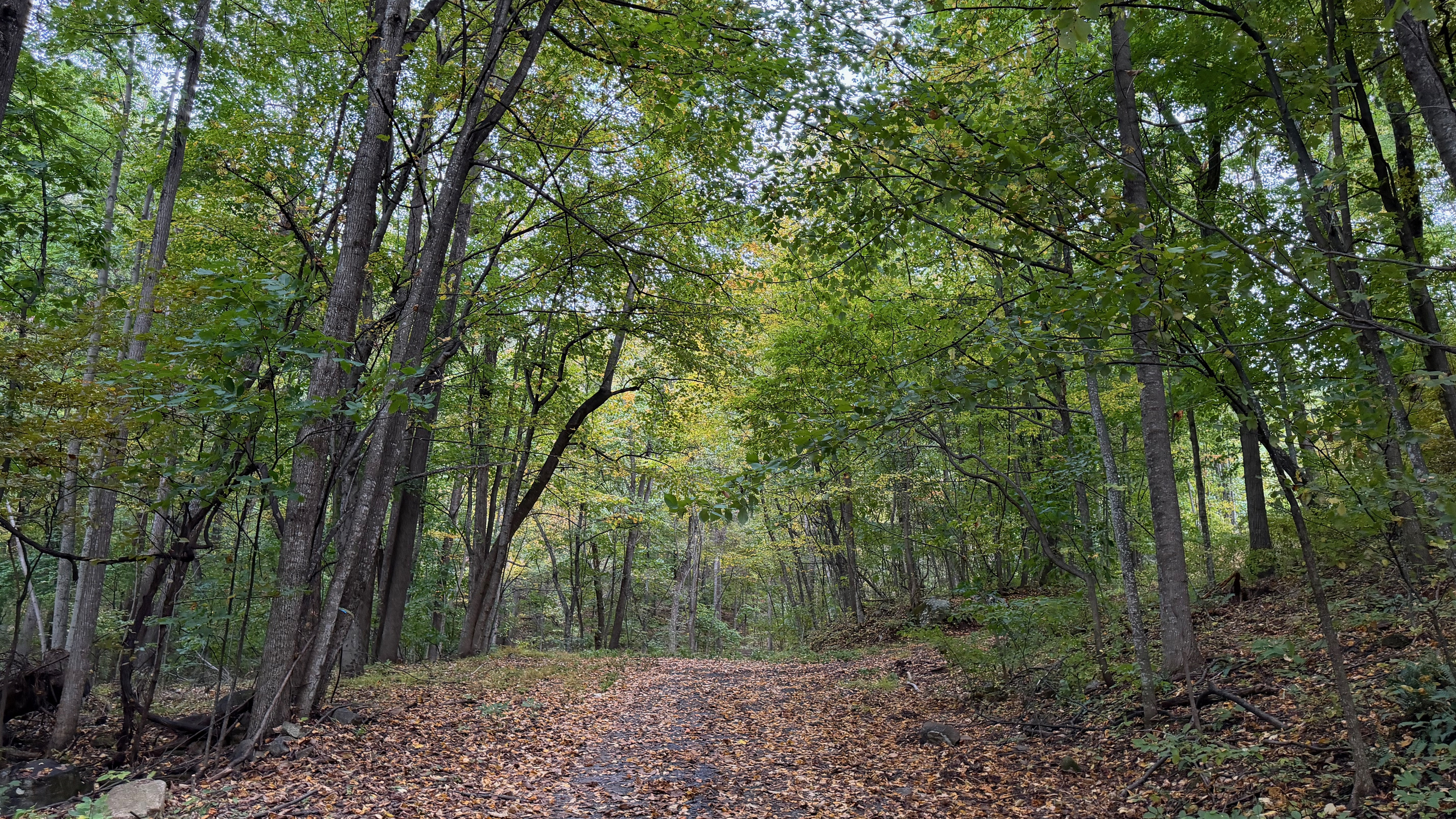 Numerous trails are on the 26 acre property, which you are free to use. We do have many wild animals to enjoy watching, but do take care and be safe. Read through the Guest Welcome Book about safety before you venture off.