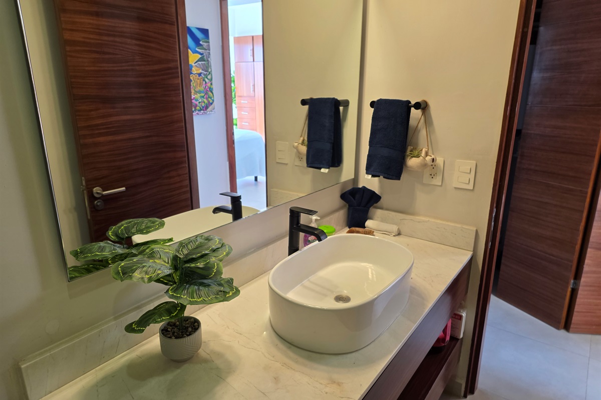 Guest Bathroom
