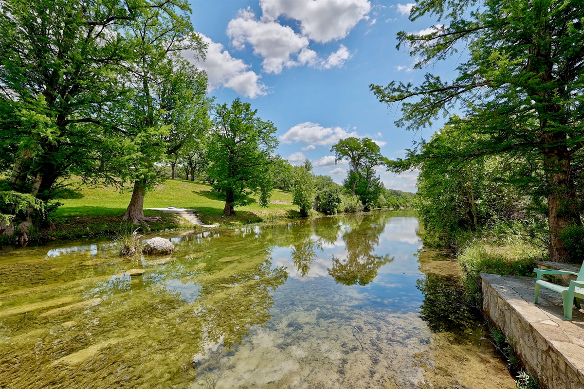 Serene river views surrounded by nature