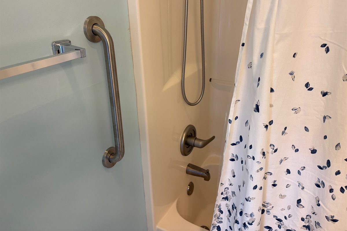 Grab Bar in Main Bathroom