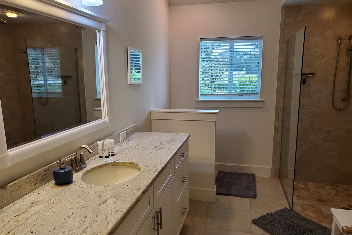 Full bathroom with walk in shower