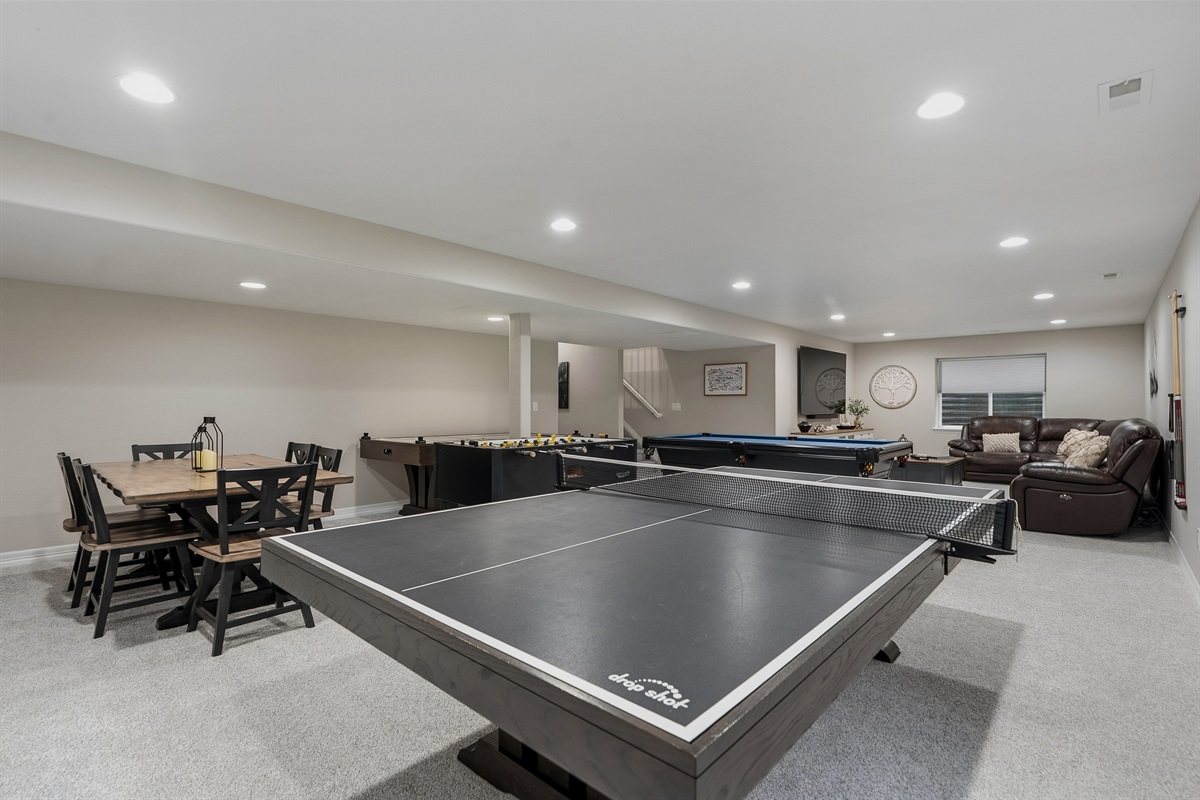 Basement Family Room