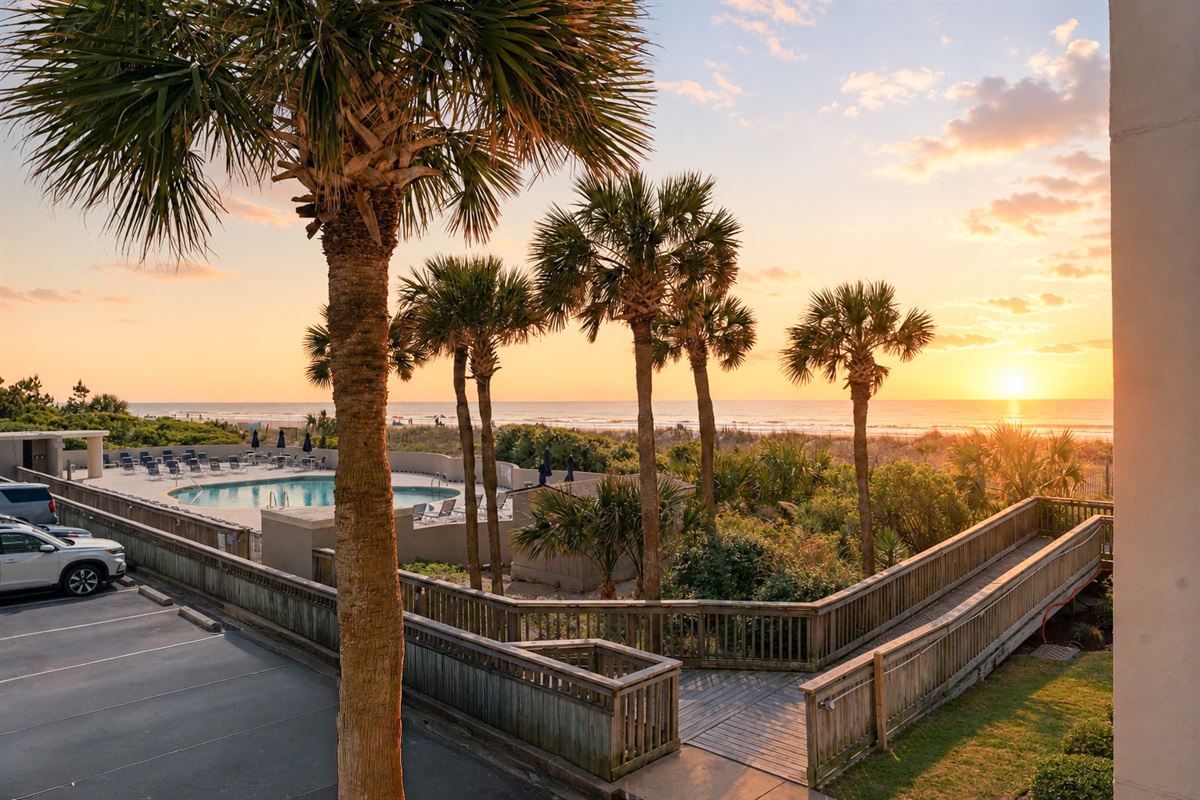 Beautiful oasis by the beach
