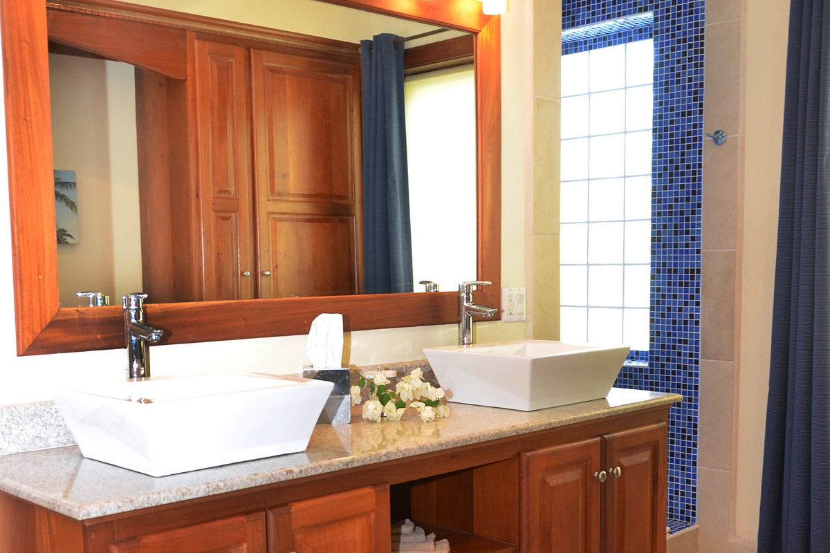 Main Bathroom Tub and Shower