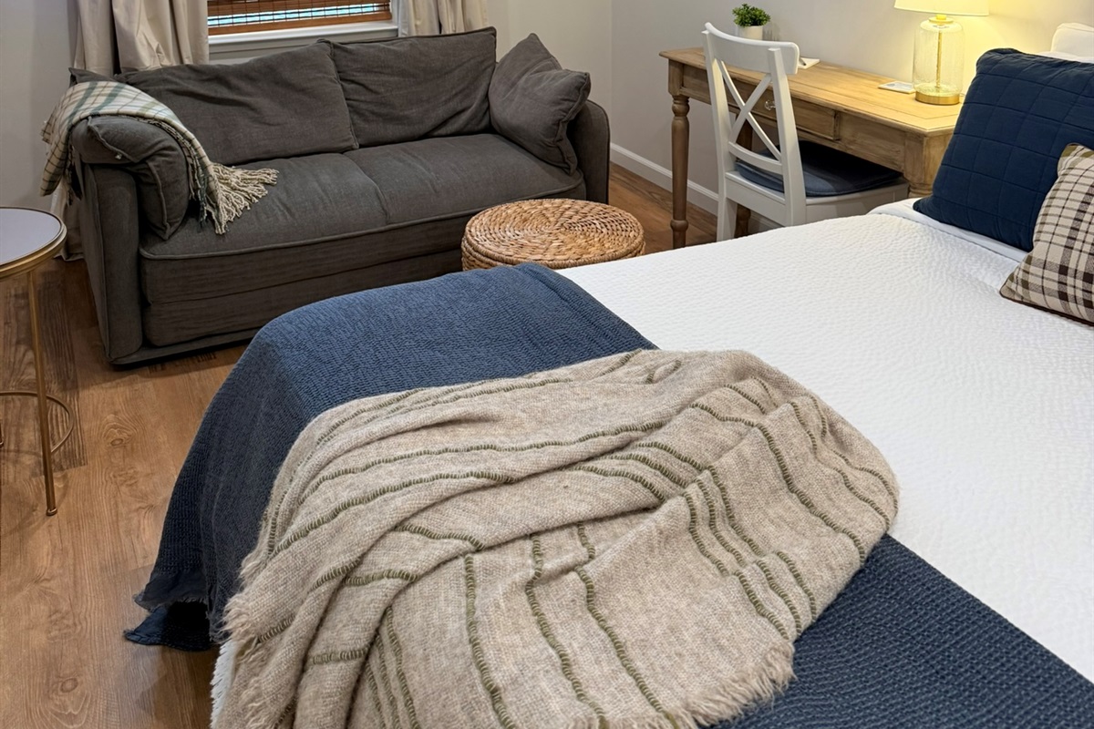 Queen Bed, Sleeper Sofa & Desk