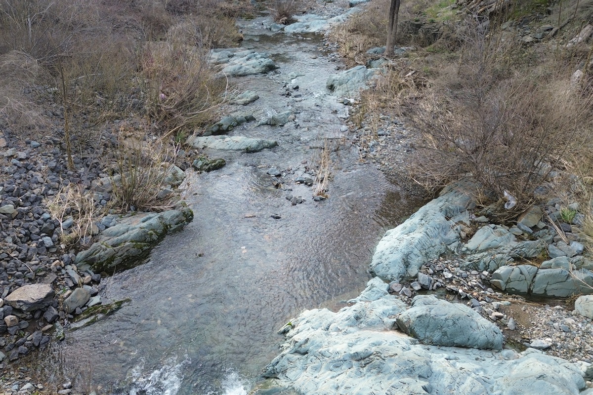 Creek#2: walkable distance from the property, year around
