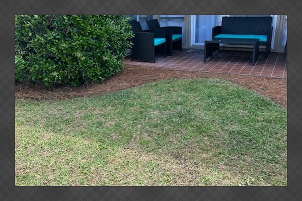 Outdoor Patio