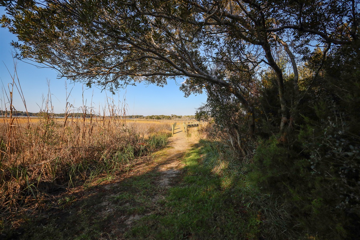 A peaceful nature trail leads you straight to the dock
