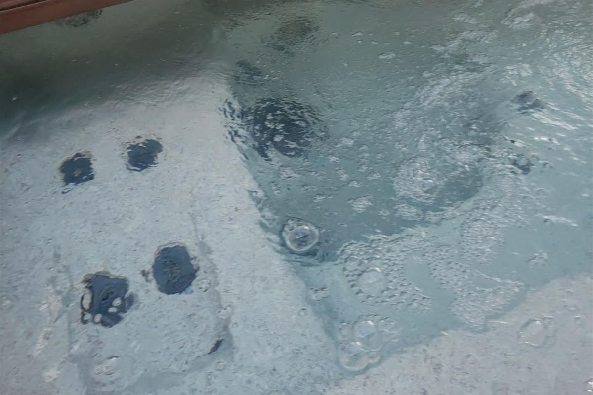 Relax in the hot tub with privacy and peaceful creekside surroundings