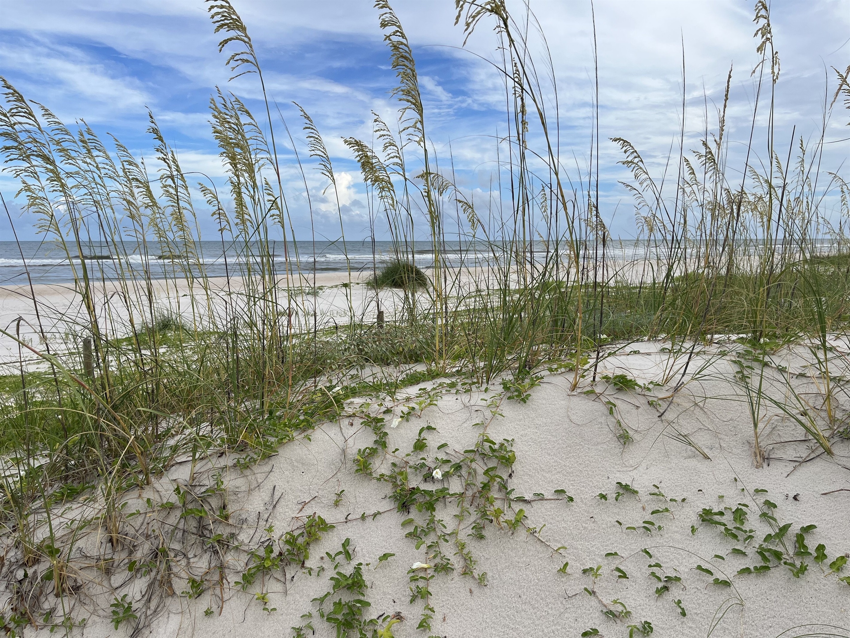 Private Walkway to Beach