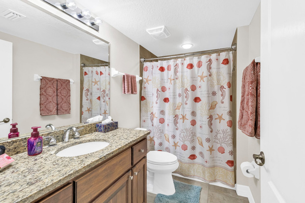 Hall bathroom.