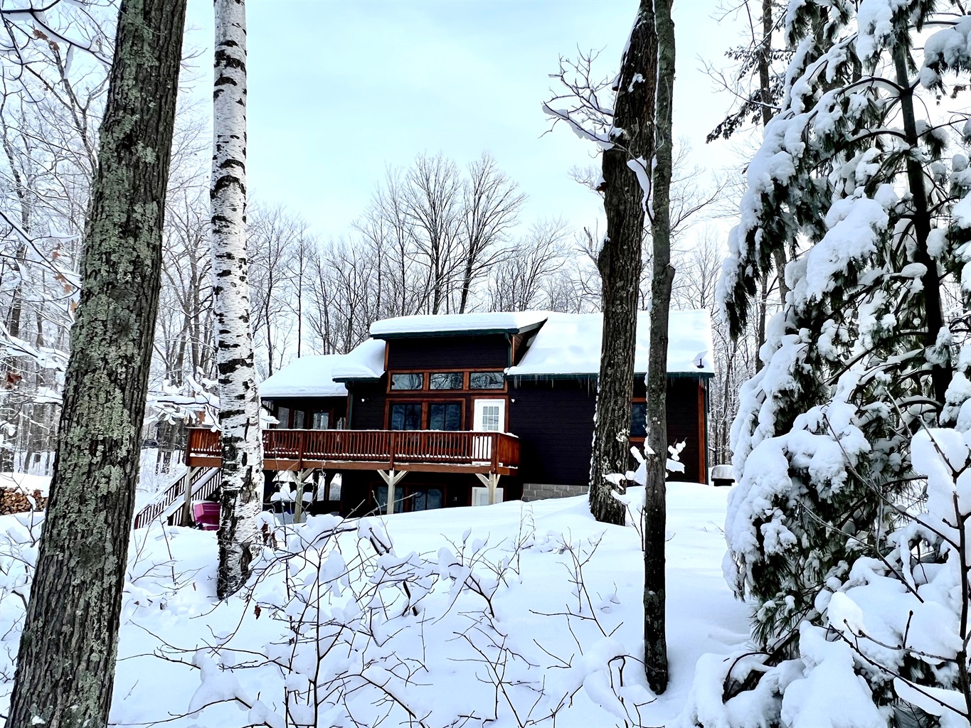 Welcome to Cattail Cabin!