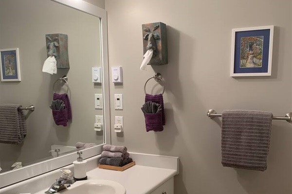 Spacious bathroom counter and cupboards, hair dryer, hand mirror, kids step stool, cleaning supplies, soaps, first aid kit.