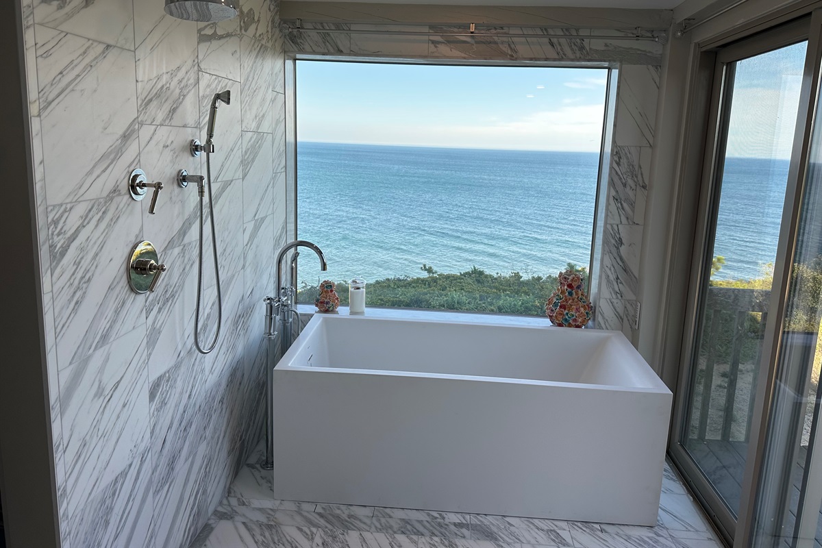 Primary Private Shower/Soak Tub