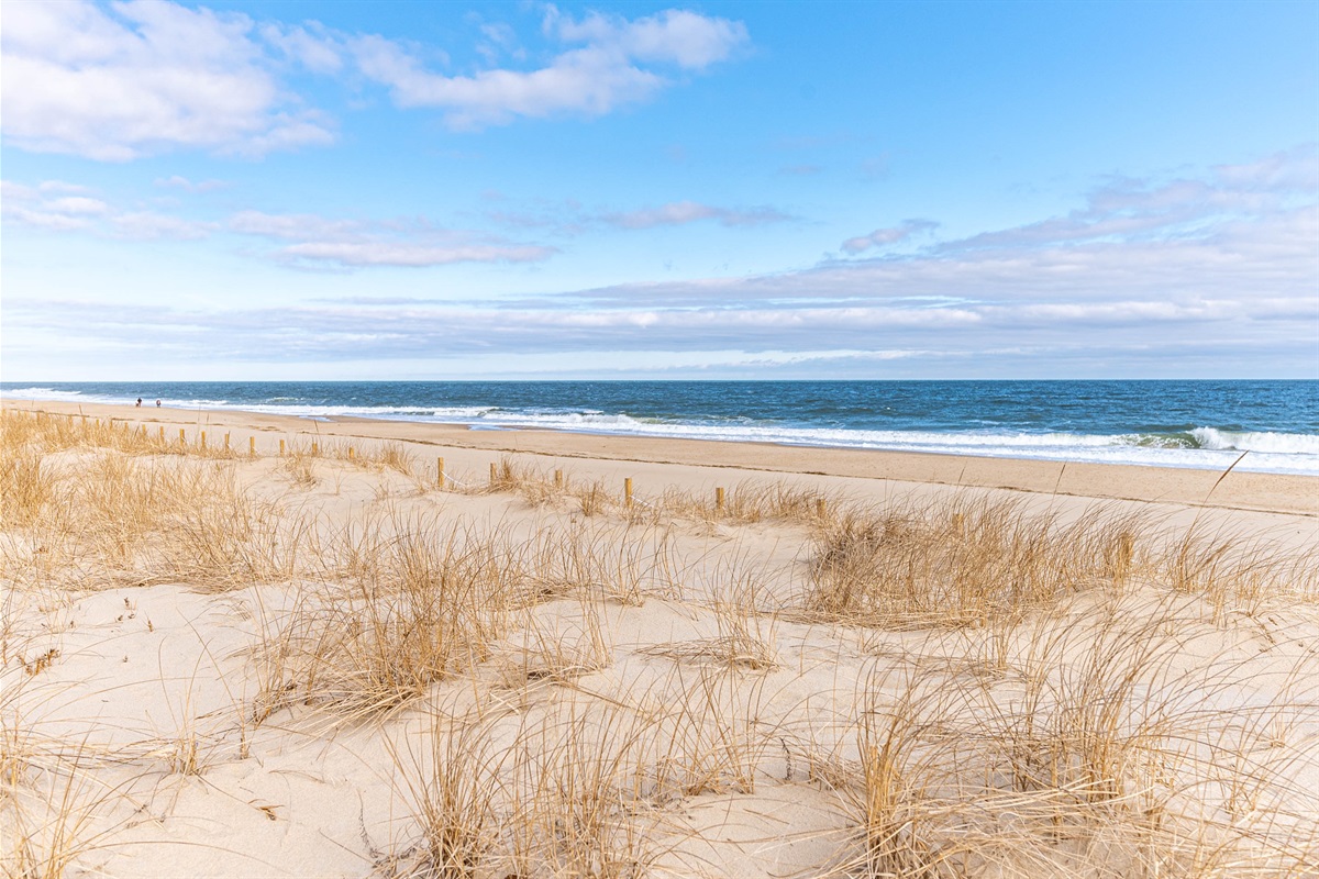 Ocean City Beaches