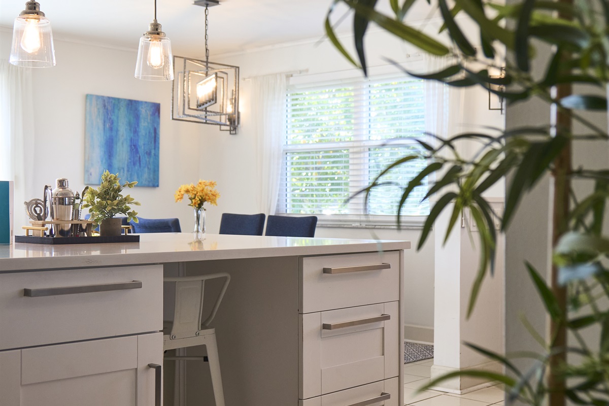 The kitchen island