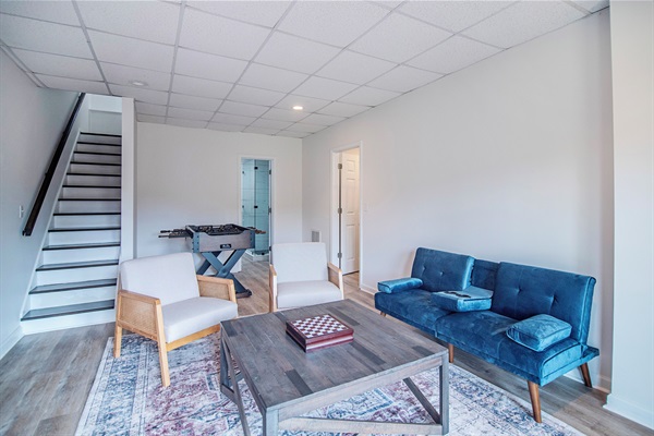 Basement Living Room
