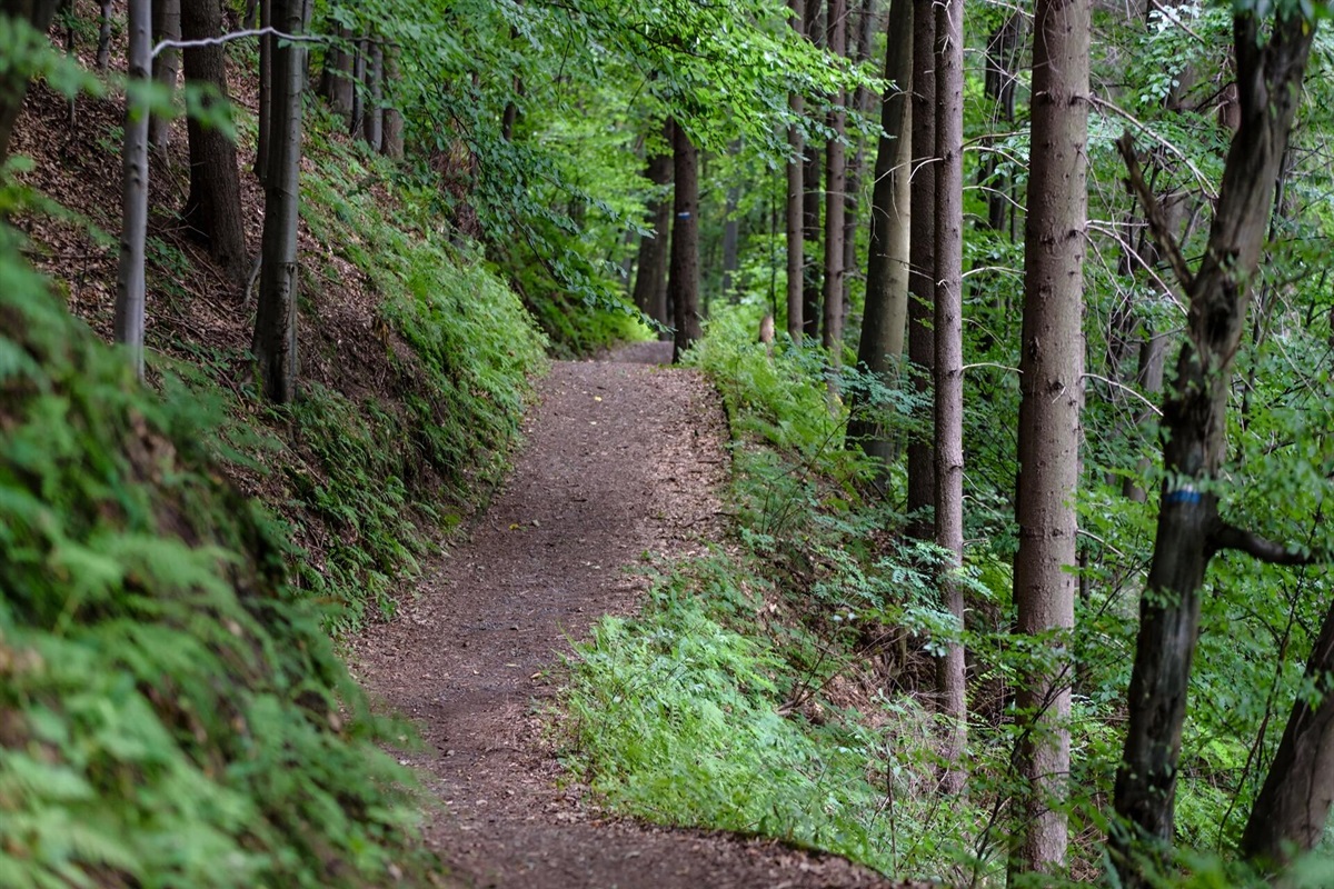 Excellent Hiking Trails