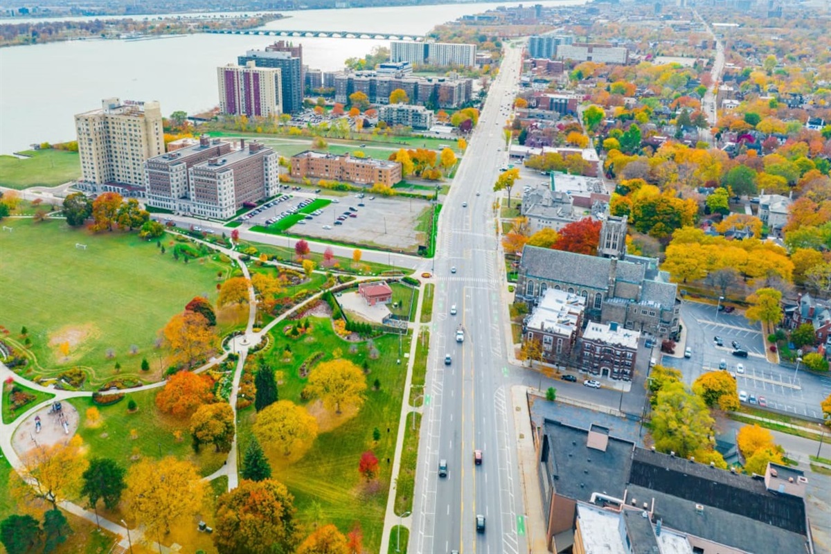 Aerial view of the neighborhood