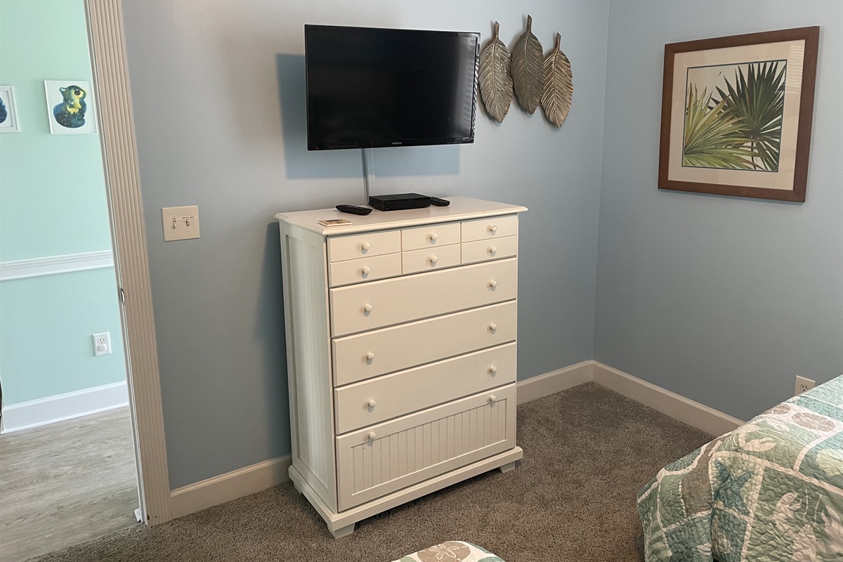 2nd Bedroom TV