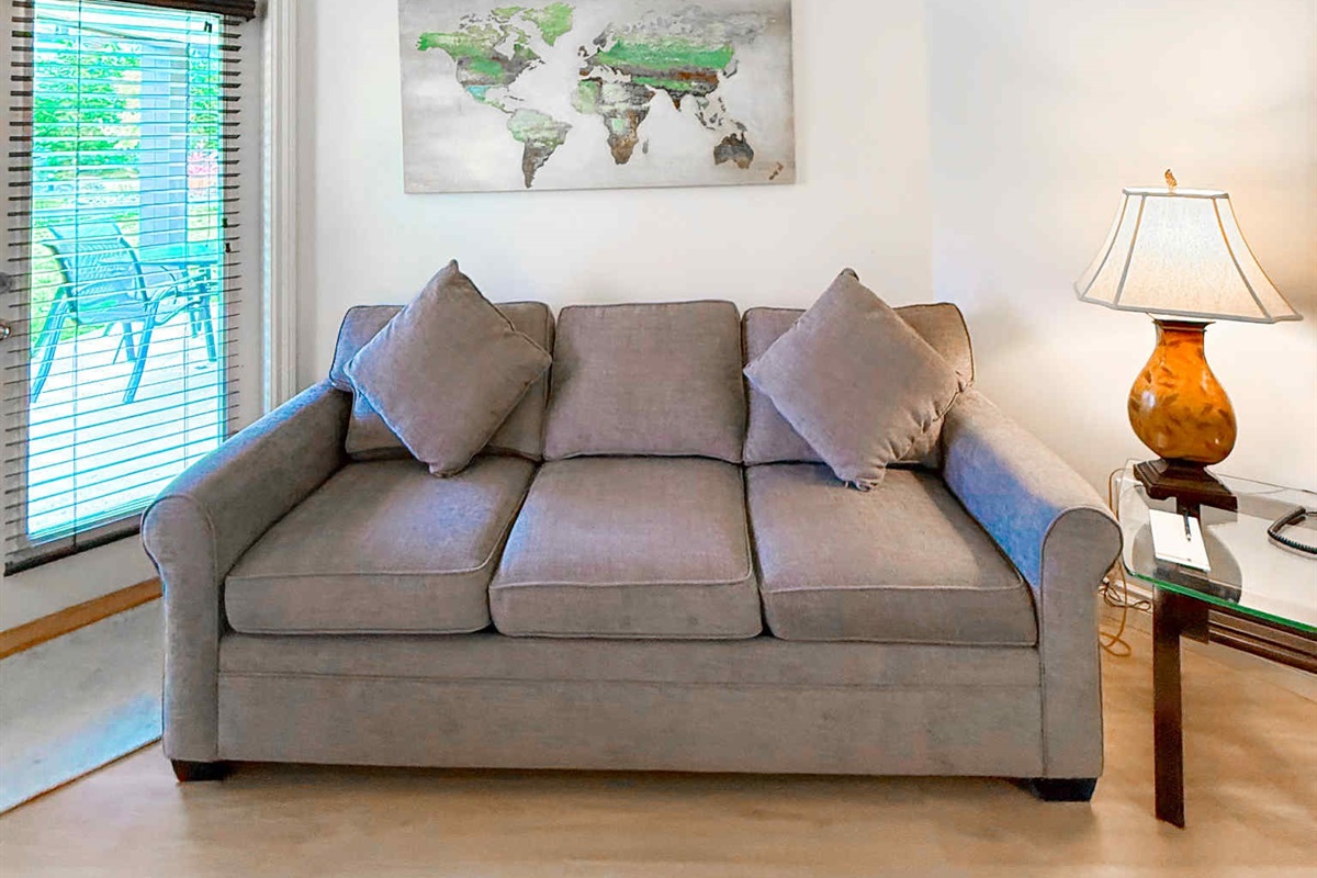 Unit A The most comfortable sofa bed.