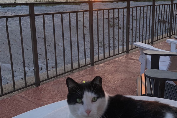 Watch the sunset with Butterball