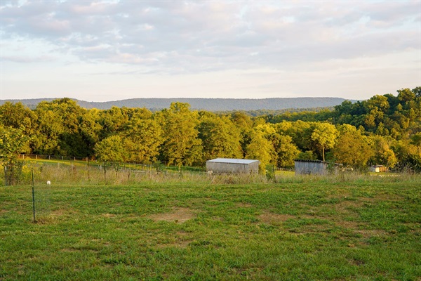This is the view over the neighbor’s pasture, to Elk Ridge. 