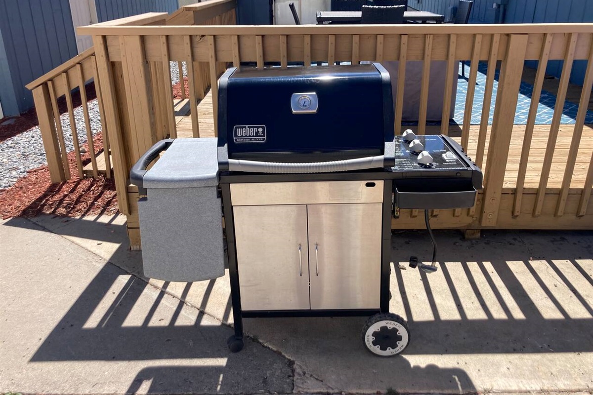 Weber Grill