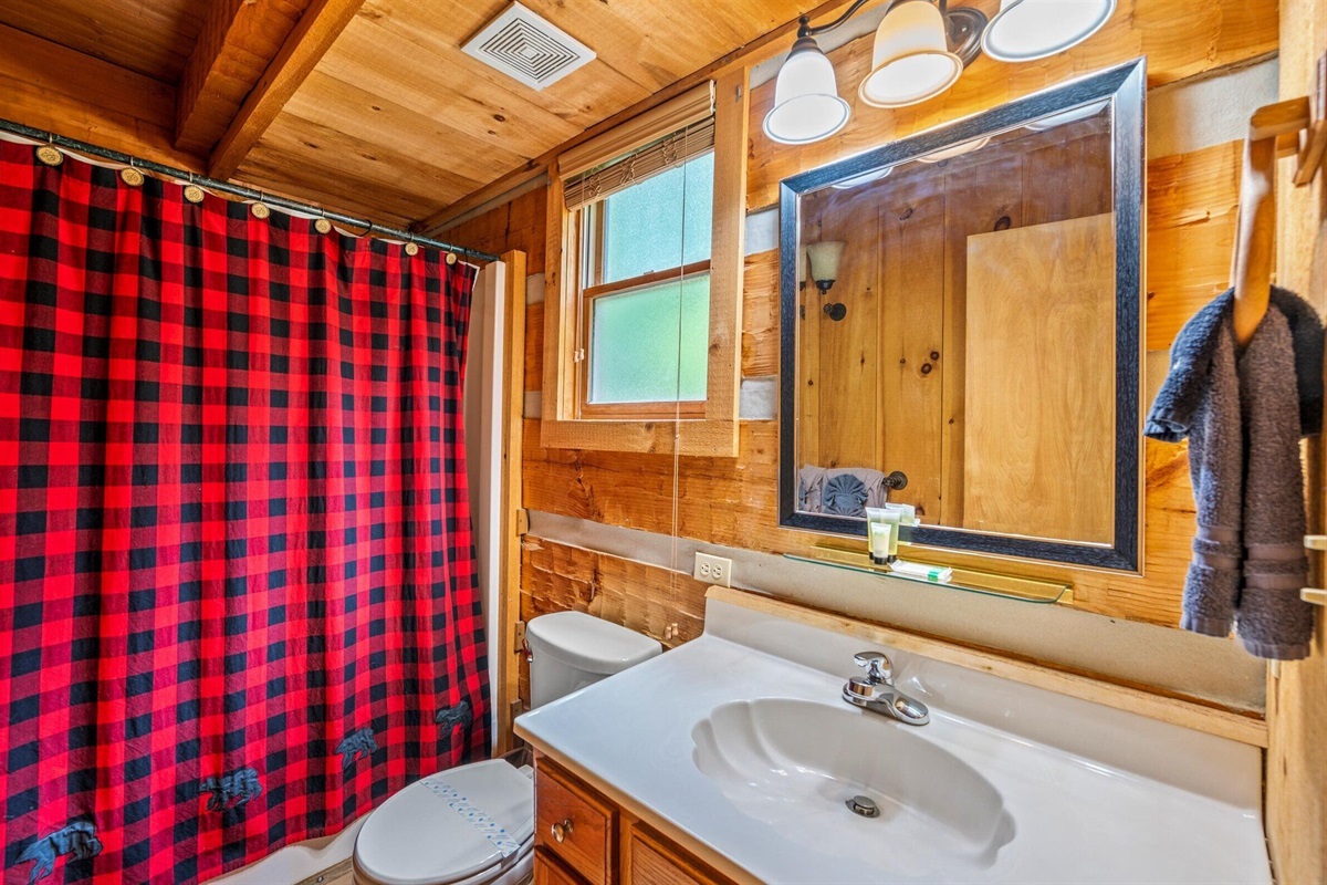 Downstairs bathroom with tub/shower combo