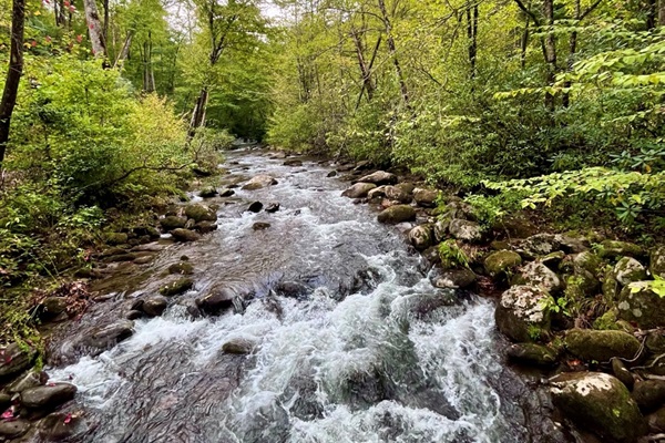 Take a short walk through the neighborhood and follow the creek as it winds through the mountains. Cross the wooden bridge, listen to the water, and enjoy a quiet moment in nature.
