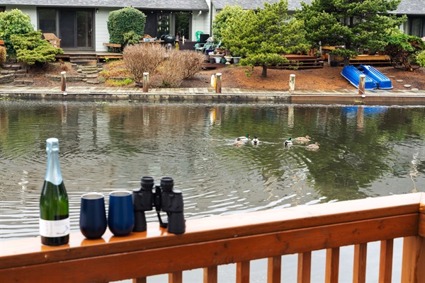 Uniquely situated on the canal of Devil's Lake and D River, a 3 minute walk to all the activities of D River Wayside Beach. Enjoy 4 season views of wildlife and birds in this protected cove, it's the perfect balance of convenience & natural beauty!