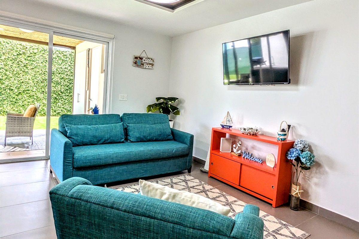 Comfortable pull out couch
