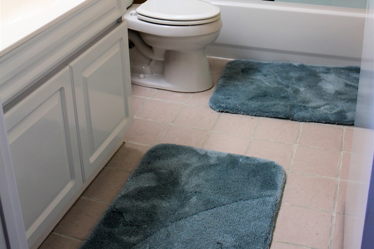 Pet Friendly Condo on Navarre Beach