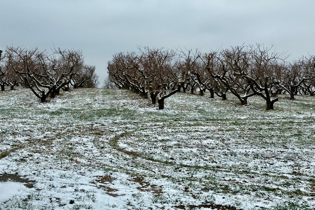 Beautiful Year-Round