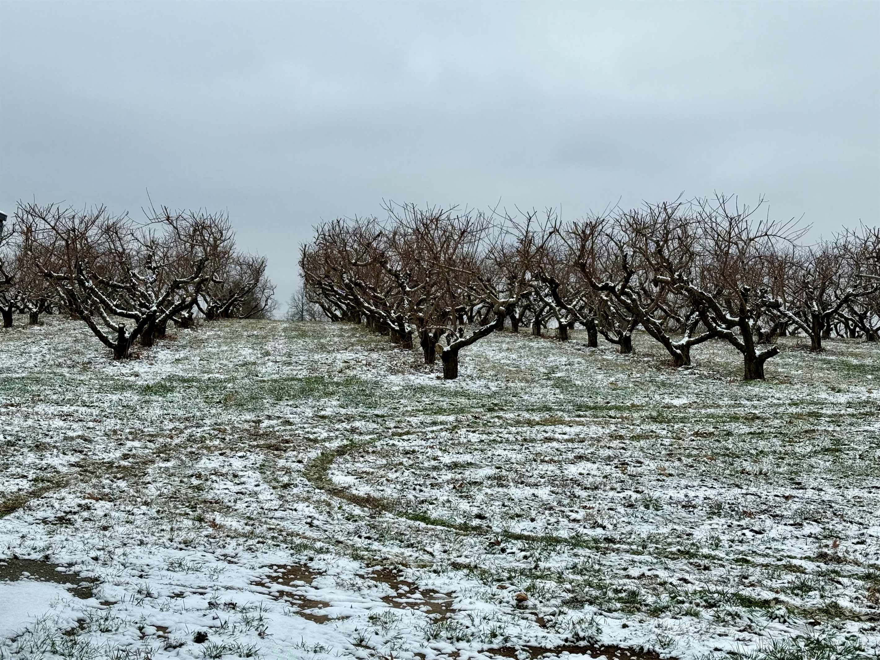 Beautiful Year-Round